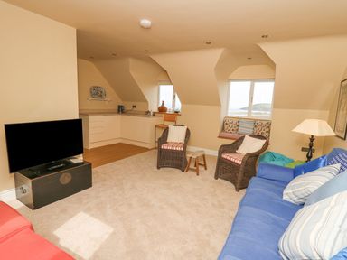 A living room with a blue sofa two wicker chairs a television and a small kitchenette at Tree Tops in Newport Pembrokeshire