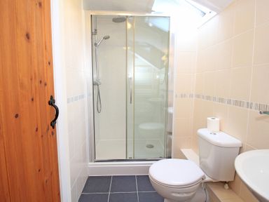 A bathroom with a shower enclosure toilet and sink with wooden door at The Farmhouse in Llanbedr