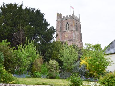 A garden with various trees and shrubs with a stone church tower and clock in the background at Little Dragons in Dunster near Minehead
