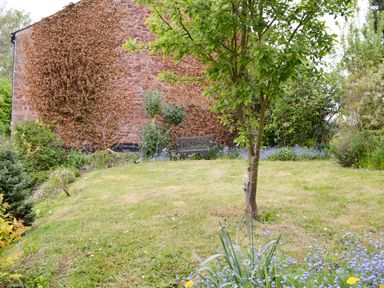 A garden with a tree a bench flowers and a stone wall with dried vines at Little Dragons Dunster near Minehead