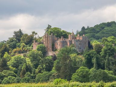 A castle surrounded by trees on a hill with a cloudy sky at Little Dragons in Dunster near Minehead