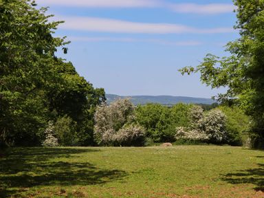 Property photo 39 of 43
