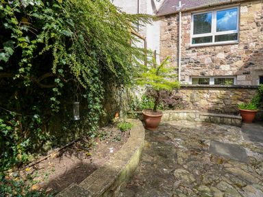 A stone patio area with potted plants and ivy on the wall at 49 Castlegate in Jedburgh