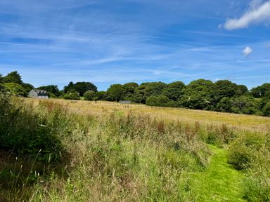 A field with grass and trees and a building in the background at The Hayloft in Lostwithiel