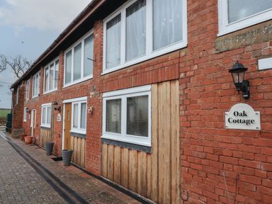 A brick and wood exterior of a cottage with multiple windows potted plants and lamps at Oak Cottage in Aylesbeare