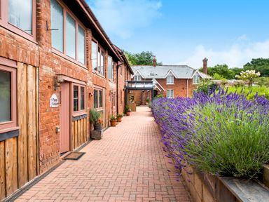 A brick pathway with potted plants and lavender bushes beside brick buildings at Oak Cottage in Aylesbeare