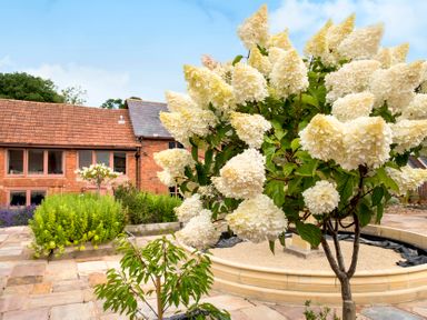 A garden with flowering trees and bushes in front of a brick house with tiled roof at Oak Cottage in Aylesbeare