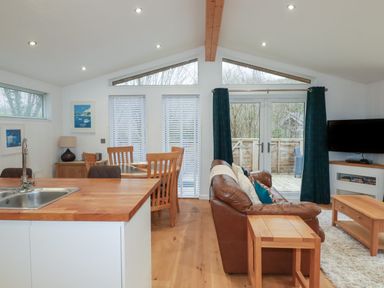 An open plan living room and kitchen with a brown leather sofa wooden dining table and chairs and a kitchen island at 2 Millers Island Near Lanreath