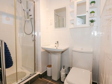 A bathroom with a shower enclosure a sink a toilet and a mirrored cabinet with small plants at Harbour Escape in Porthmadog