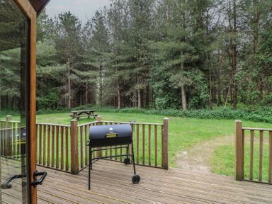 A wooden deck with a black grill and a picnic table on grass near trees at Rowan Lodge in Rosliston