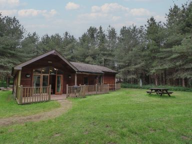 A wooden cabin with a fenced porch and picnic table on grass surrounded by trees at Rowan Lodge in Rosliston