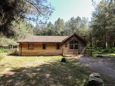 A wooden cabin with a small porch surrounded by trees and grass at Rowan Lodge in Rosliston