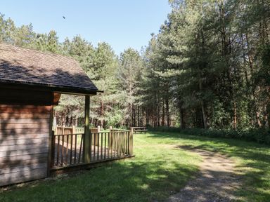 A wooden cabin with a porch in a grassy clearing near a forest with a picnic table at Rowan Lodge in Rosliston