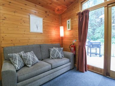 A wooden room with a grey sofa and three cushions next to a floor lamp and glass door with red curtains at Oak Lodge in Rosliston