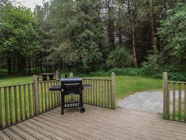 A wooden deck with a black barbecue grill overlooking a grassy area with trees and a picnic table at Oak Lodge in Rosliston
