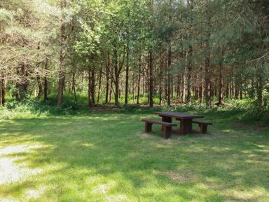 A picnic table and benches on grass with trees in the background at Oak Lodge in Rosliston