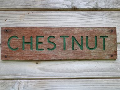 A wooden sign with the word chestnut mounted on a wooden wall at Chestnut Lodge in Rosliston
