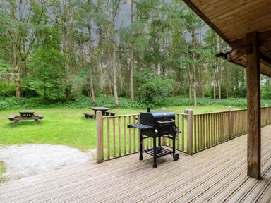 A wooden deck with a barbecue grill and picnic tables on a grassy area with trees at Chestnut Lodge in Rosliston