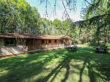 A wooden lodge with a porch and picnic tables on a lawn surrounded by trees at Chestnut Lodge in Rosliston