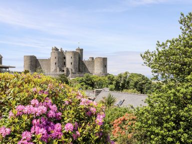 A stone castle with round towers behind flowering bushes and trees at Bryn Awelon in Harlech