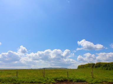A green field with a fence and bushes under a blue sky with clouds at Maple Lodge in Whitby