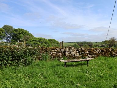 A stone wall and bench in a grassy area with trees at Fir Lodge in Whitby