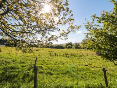 A field surrounded by trees at Fir Lodge in Whitby