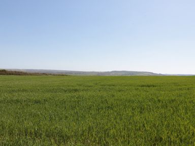 A field with grass and a clear sky at Fir Lodge in Whitby