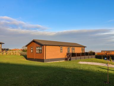 A single story wooden house with windows and a small porch on a grassy plot at Cherry Blossom Lodge in Whitby