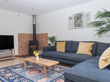 A living room with a blue sofa yellow cushions a wooden coffee table a patterned rug a wood stove and a television at The Old Coach House Little Dunley Cottages near Bovey Tracey