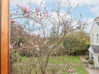 A view of a garden with a tree with pink blossoms and a house on the right at The Old Coach House in Little Dunley Cottages near Bovey Tracey