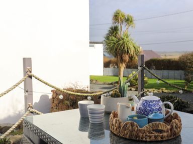 An outdoor table with a teapot, cups, a small jug, and a plant on a tray in a garden with palm trees and fencing at School House in Aberffraw