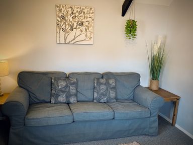 A living room with a grey couch with two patterned cushions a wooden side table with tall grass in a pot a hanging plant and a tree wall art at Hawthorn in Crackington near Crackington Haven