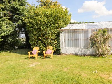 A grassy yard with two yellow chairs with red cushions next to a large bush and a corrugated metal shed at Dromclough Farmhouse in Dromclough near Listowel County Kerry