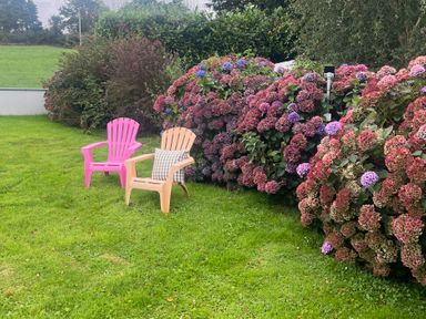 Two chairs beside hydrangea bushes in the garden at Dromclough Farmhouse Dromclough near Listowel, County Kerry