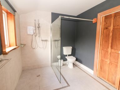 A bathroom with a shower and toilet at Shanti Gher in Bantry