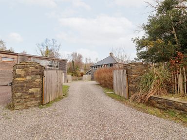 A driveway leading to a house surrounded by trees at Shanti Gher in Bantry
