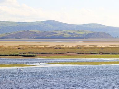 A body of water with a swan and grassy patches with hills in the background at Fisherman Cove in Porthmadog