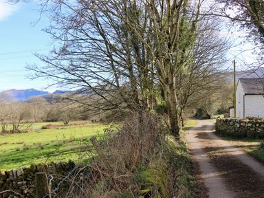 A rural dirt road next to leafless trees and a stone wall with a white house on the right side at Dowlais in Llanllyfni near Penygroes