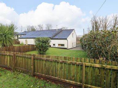 A fenced yard with grass bushes and a white house with a dark roof at Dowlais in Llanllyfni near Penygroes