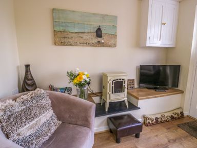 A living area with a brown armchair and cushion a small white stove a television on a wooden shelf and a vase with flowers at Dowlais in Llanllyfni near Penygroes