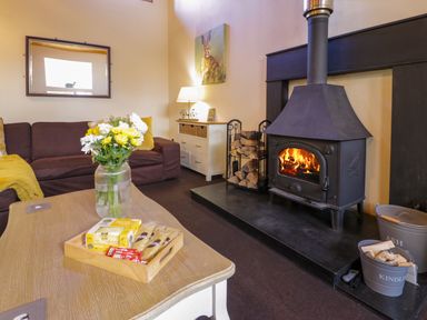 A living room with a lit wood-burning stove a sofa a coffee table with flowers and a tray and a dresser with a lamp at Igamogam Llanllyfni near Penygroes