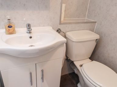 A bathroom sink with liquid soap next to a toilet with rolls of toilet paper on a shelf at Ty Glyn in Beddgelert