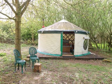 A yurt tent with open door and two green chairs under a tree at Brandon House Farm Yurt Brandon Parva near Mattishall