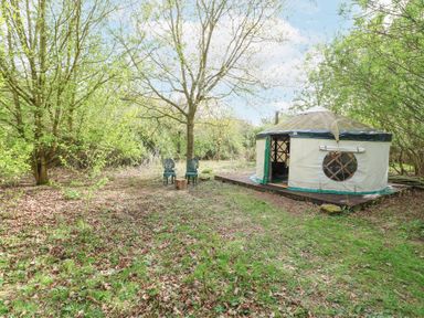 A yurt on a wooden platform surrounded by trees and green grass with two chairs and a tree stump in the clearing at Brandon House Farm Yurt Brandon Parva near Mattishall
