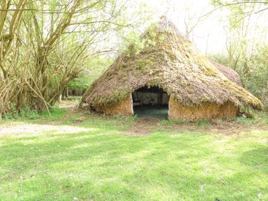 A grass field with a thatched hut surrounded by trees at Brandon House Farm Yurt in Brandon Parva near Mattishall