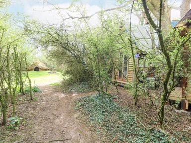 A garden path surrounded by trees leading to a thatched hut and a wooden cabin at Brandon House Farm Yurt Brandon Parva near Mattishall