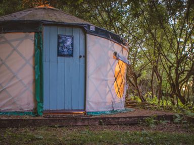 A yurt with a blue door and a lit round window in a wooded area at Brandon House Farm Yurt Brandon Parva near Mattishall