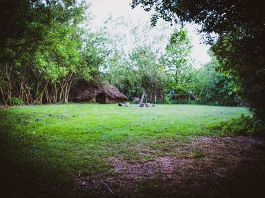 A grassy clearing with a fire pit and stones surrounded by trees at Brandon House Farm Yurt Brandon Parva near Mattishall