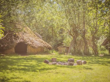 A grassy outdoor area with a thatched hut trees and tree stumps arranged in a circle for seating at Brandon House Farm Yurt Brandon Parva near Mattishall